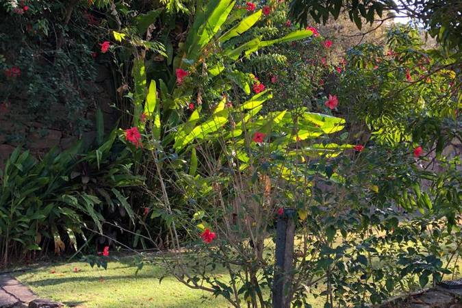 Jardins e áreas externas do Estâncias Duvivier Hotel