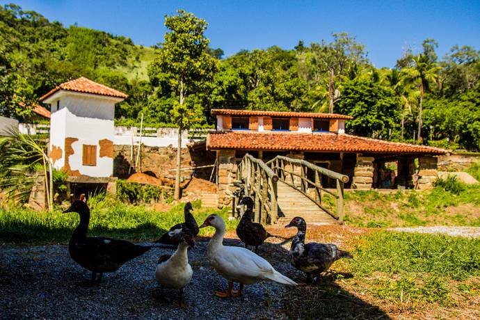 Passeios guiados pela fazenda do Estâncias Duvivier Hotel